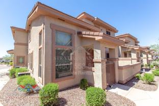 42424 N Gavilan Peak Pkwy #1102 - Photo 1 of 1