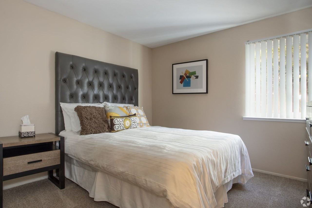 Acacia Apartments - Photo 6 of 47