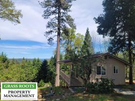 10712 Banner Lava Cap Rd - Photo 1 of 1
