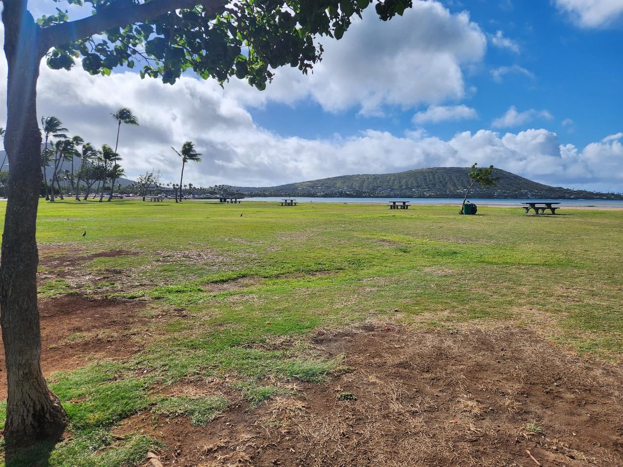 6153 Kalanianaole Hwy #2 - Photo 7 of 18