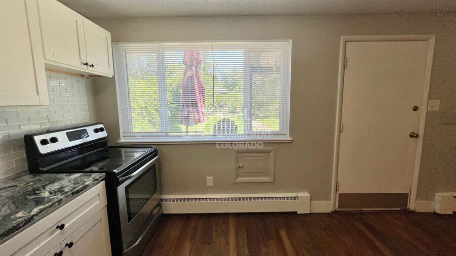 1720 S Cook St - Photo 6 of 15