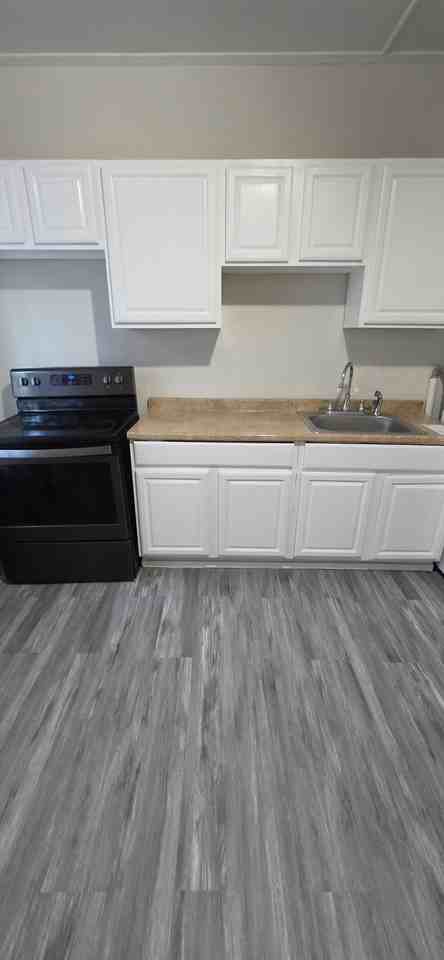 2011 W Lexington St - Photo 5 of 11
