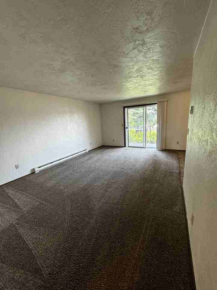 1027 West Washington Street - Photo 4 of 17