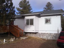 featured image of 1976 Christmas Pine Cir