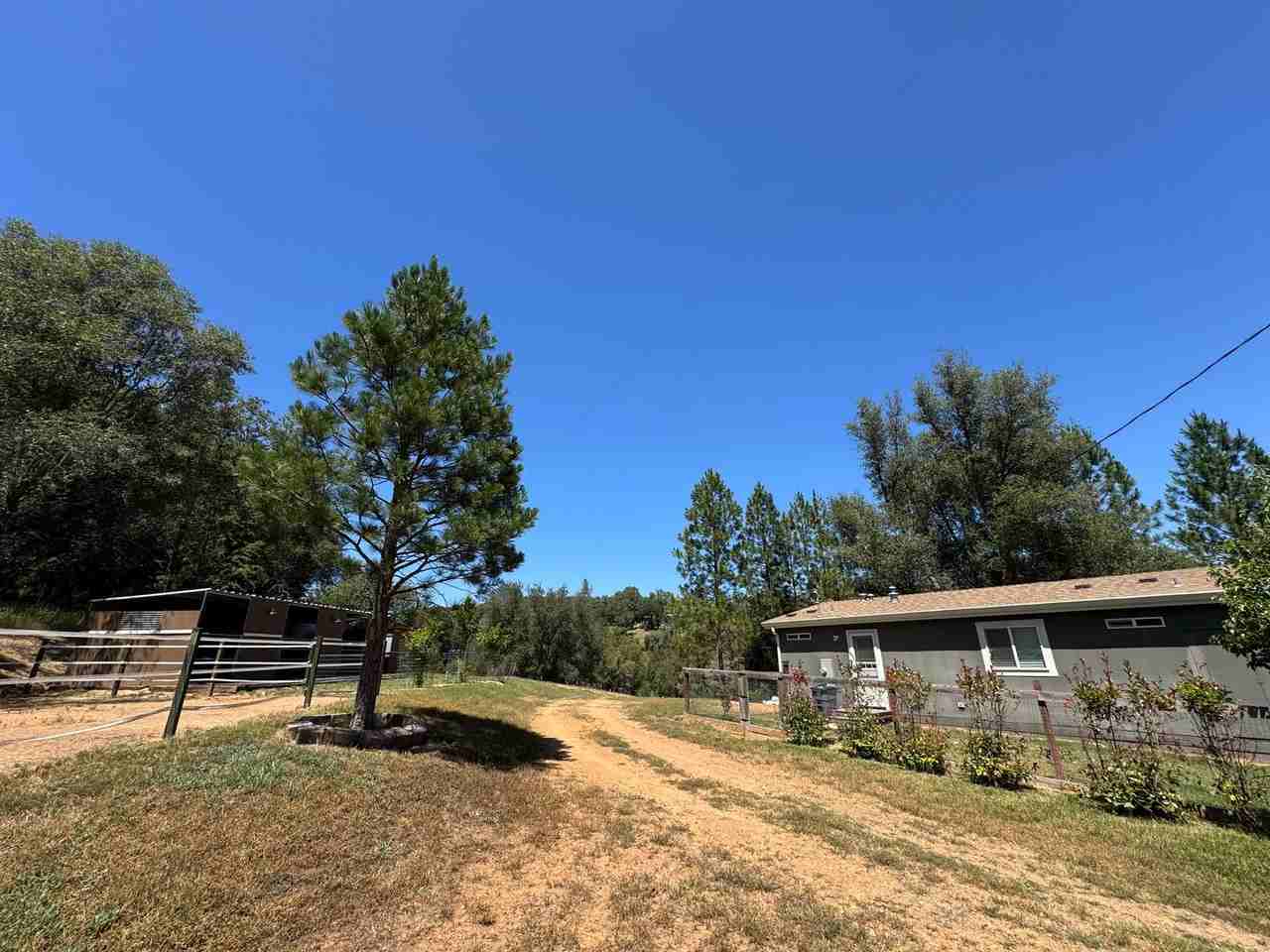 12114 Wolf Rd - Photo 3 of 26