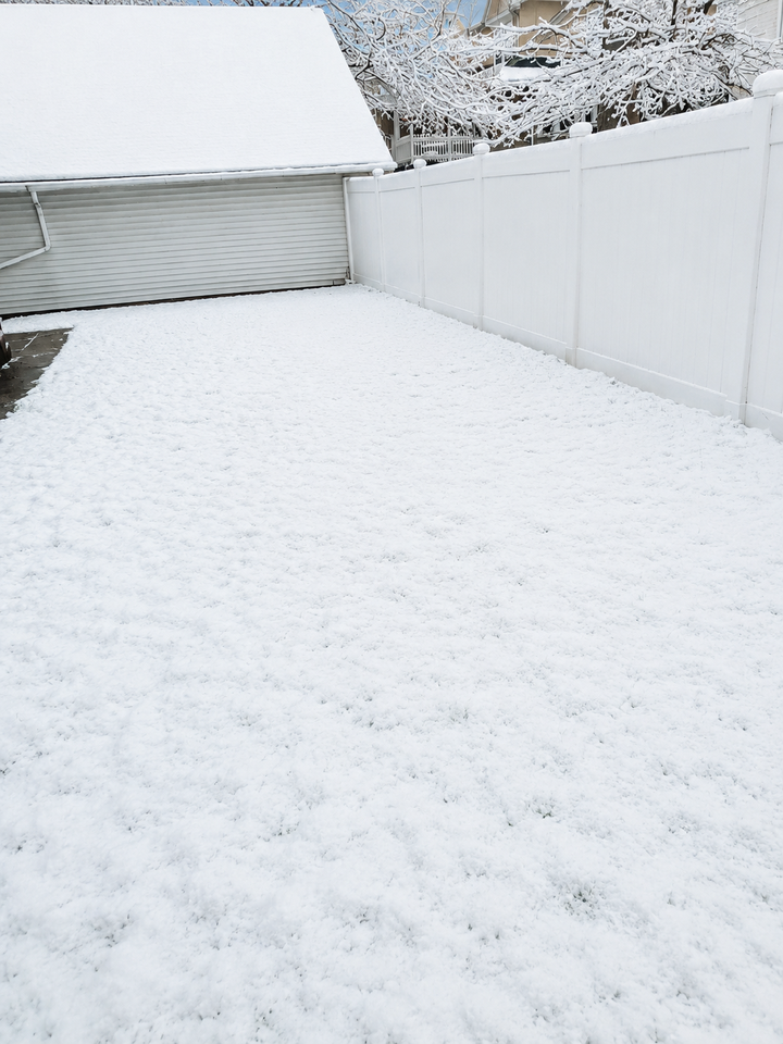 525 Harper Ave #C - Photo 5 of 13