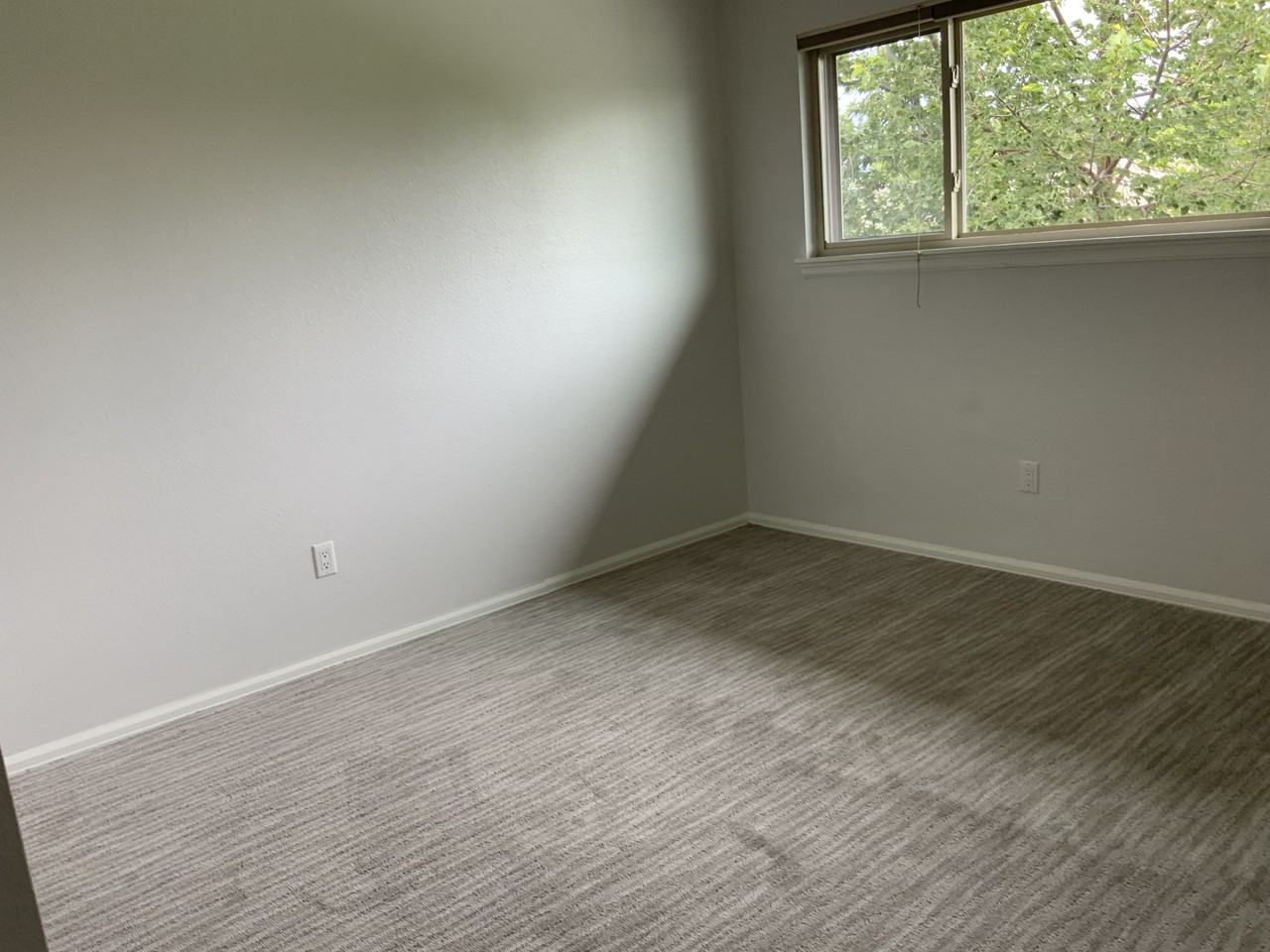 7236 S Vine Ct #0 - Photo 6 of 18