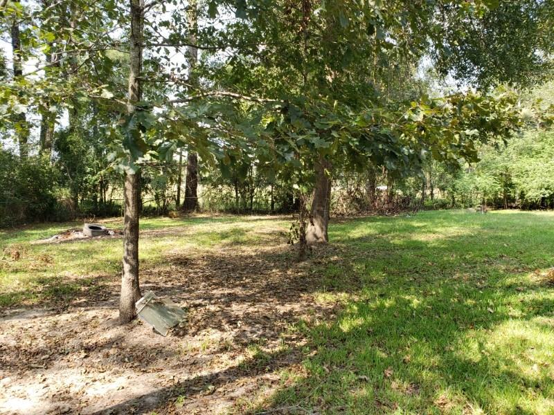 621 Paradise Rd - Photo 4 of 24