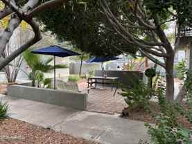 4111 E Camelback Rd #17 - Photo 1 of 1