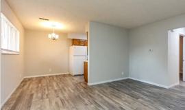 2950 Auburn Rd #G1 - Photo 1 of 1