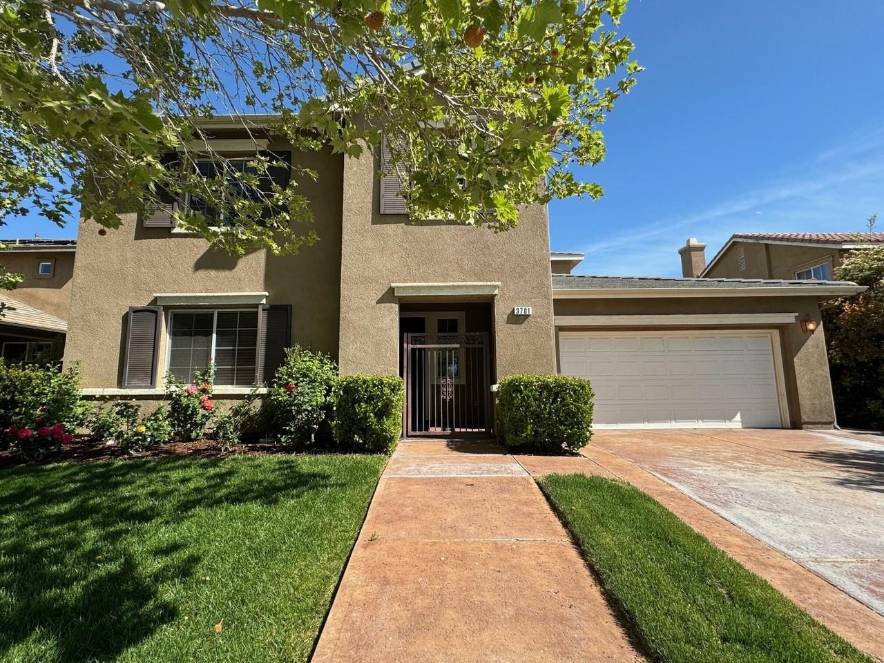 3701 Pondera St - Photo 2 of 24