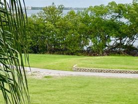 2617 Cove Cay Dr #311 - Photo 1 of 1