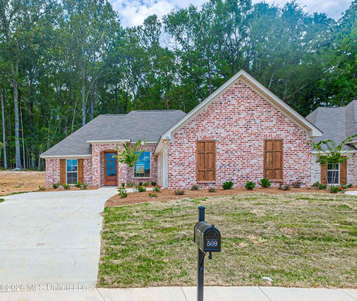 509 Silver Hill Drive - Photo 3 of 39