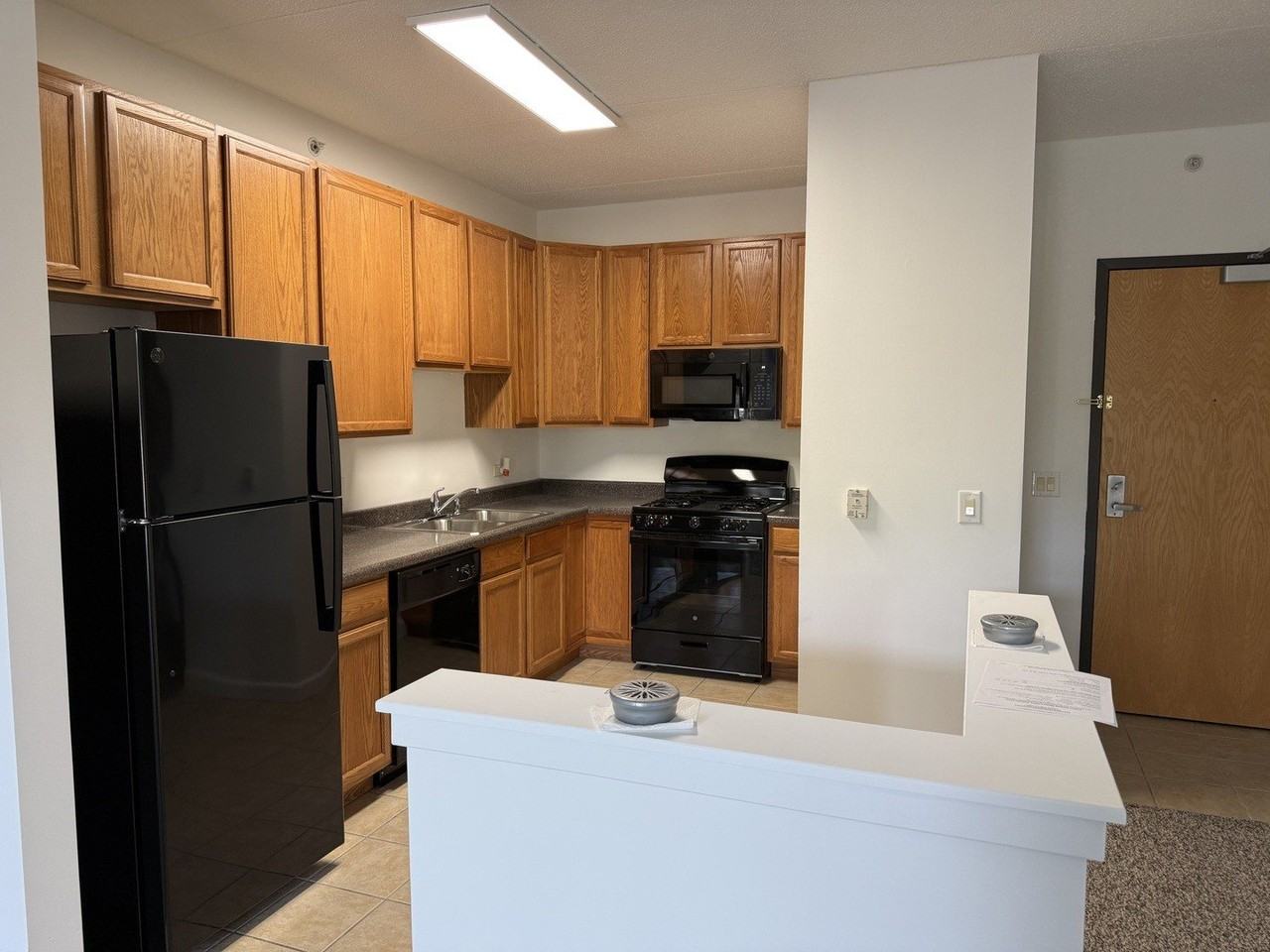 9355 Irving Park Rd #213 - Photo 5 of 16