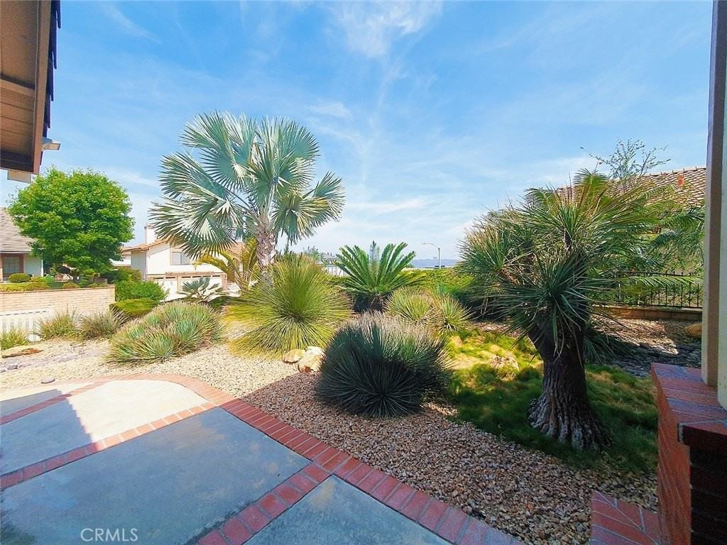 1826 Calle Belleza - Photo 2 of 45