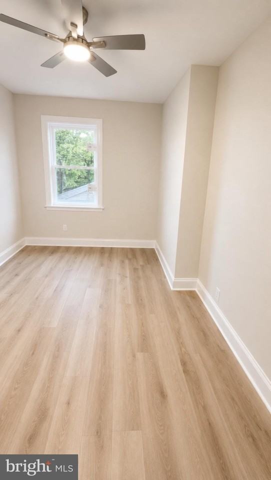 1433 W Lombard St #4 - Photo 5 of 13