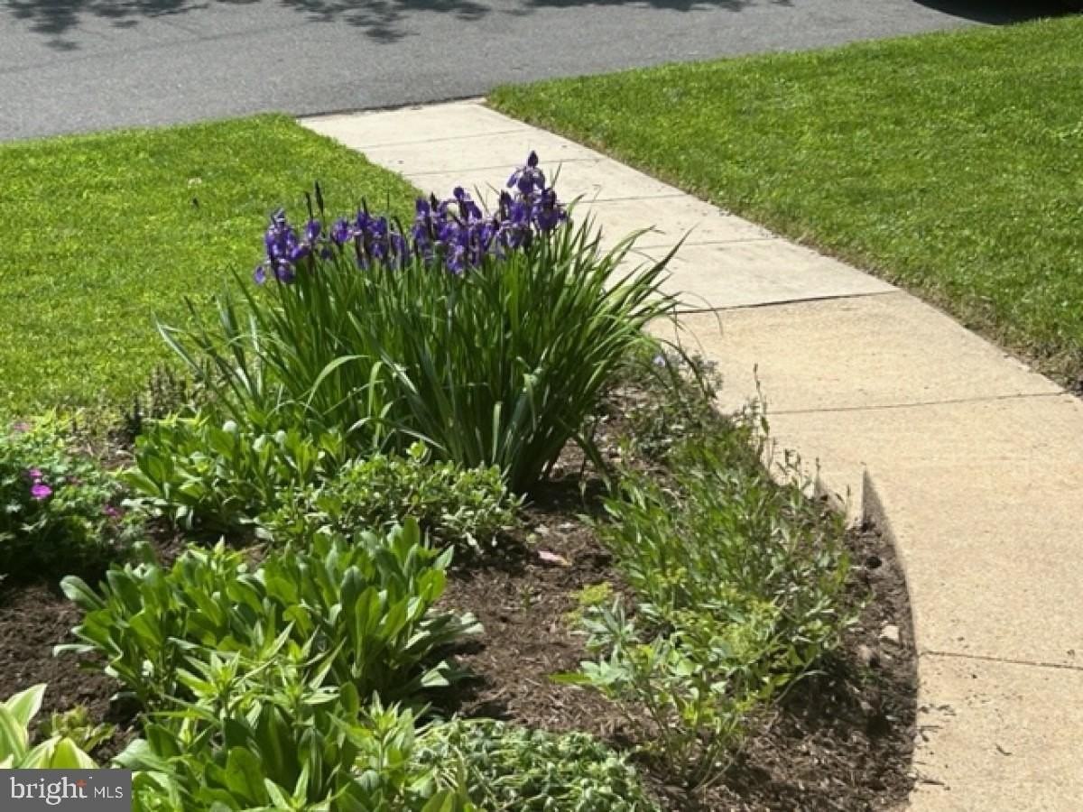 6324 Lenox Rd - Photo 4 of 44