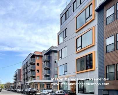 71 Border St #5 - Photo 6 of 6