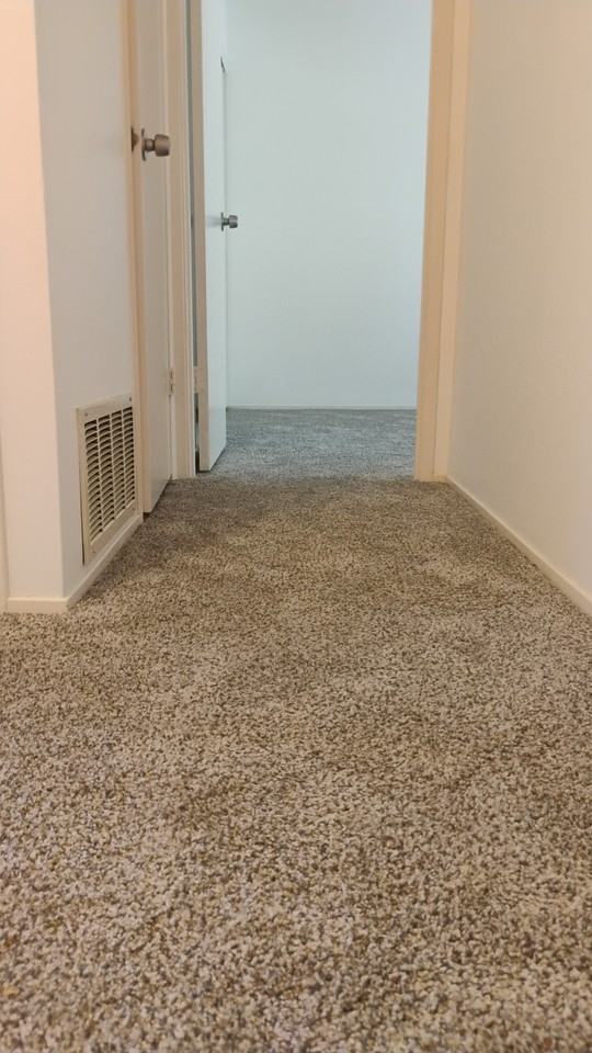 8732 Woodman Way #C - Photo 3 of 9