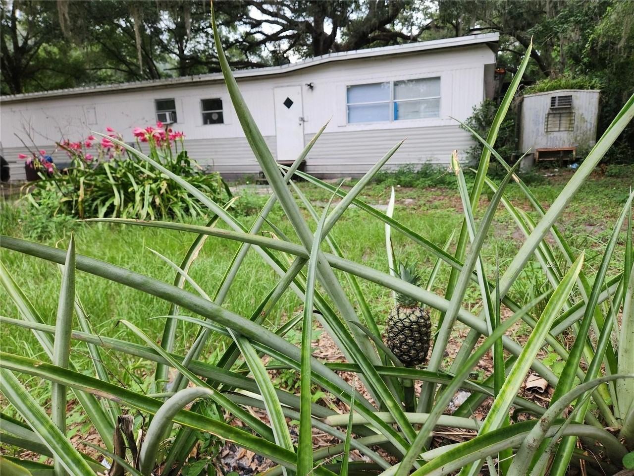 24815 Audrey Rd