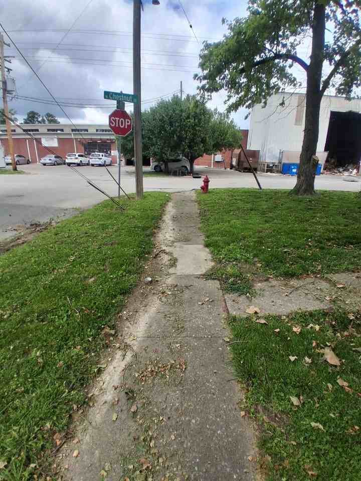 521 N Davis St - Photo 6 of 20