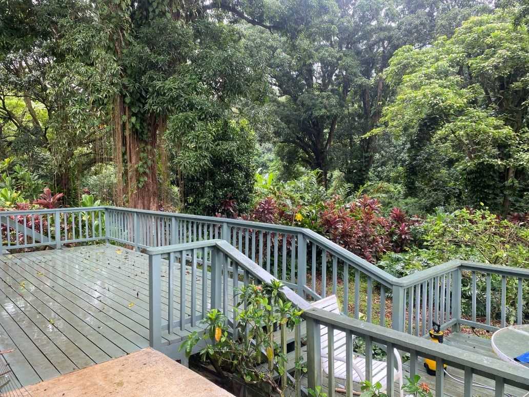 47 701 Ahuimanu Rd #B - Photo 4 of 13