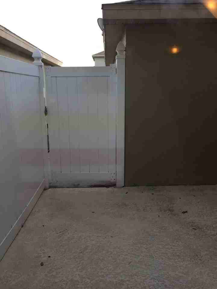14650 Water Locust Dr - Photo 7 of 15