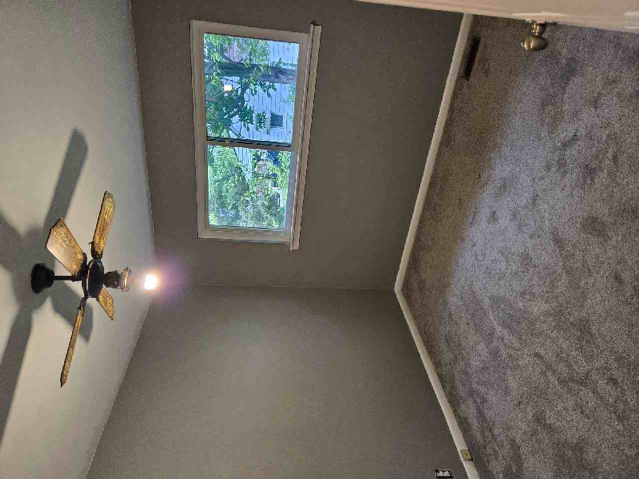 29800 Oakwood St - Photo 7 of 15