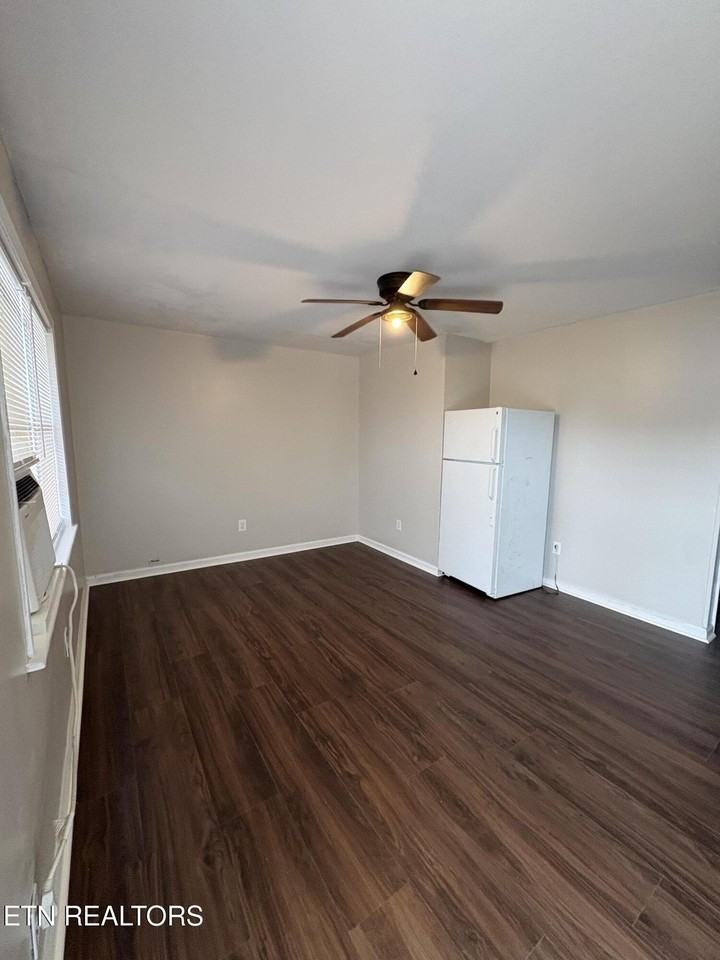 162 E Race St #31 - Photo 5 of 13