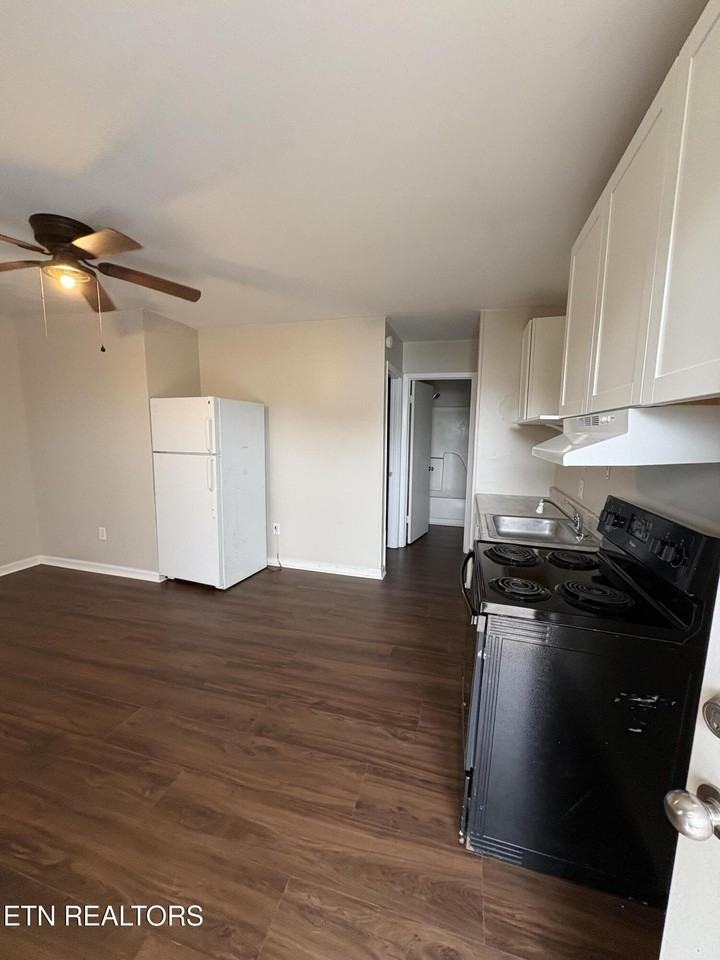 162 E Race St #31 - Photo 6 of 13