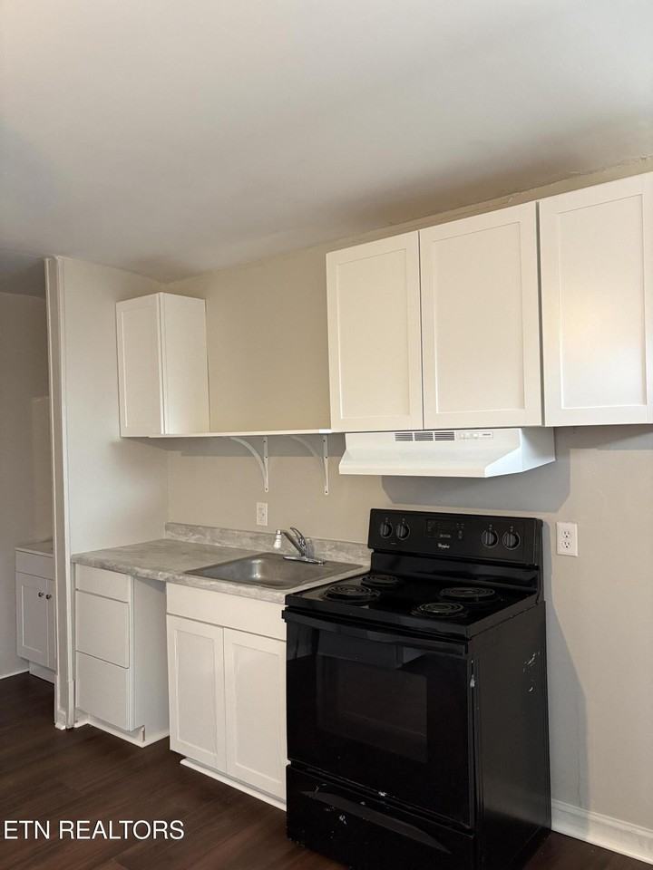 162 E Race St #31 - Photo 7 of 13