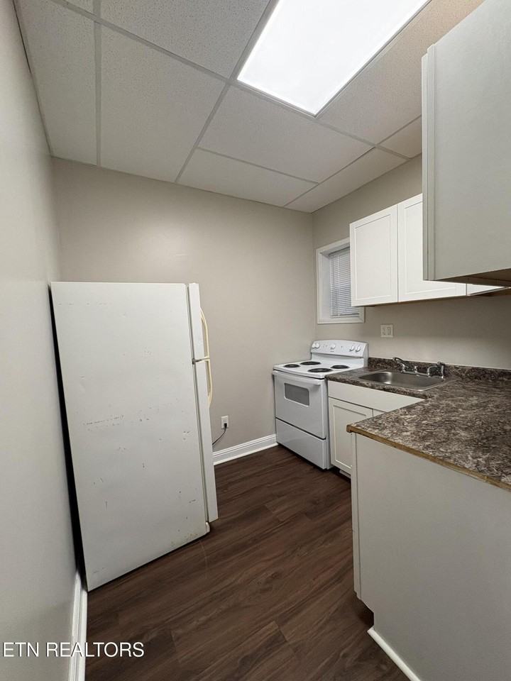 207 E Race St #42 - Photo 7 of 7