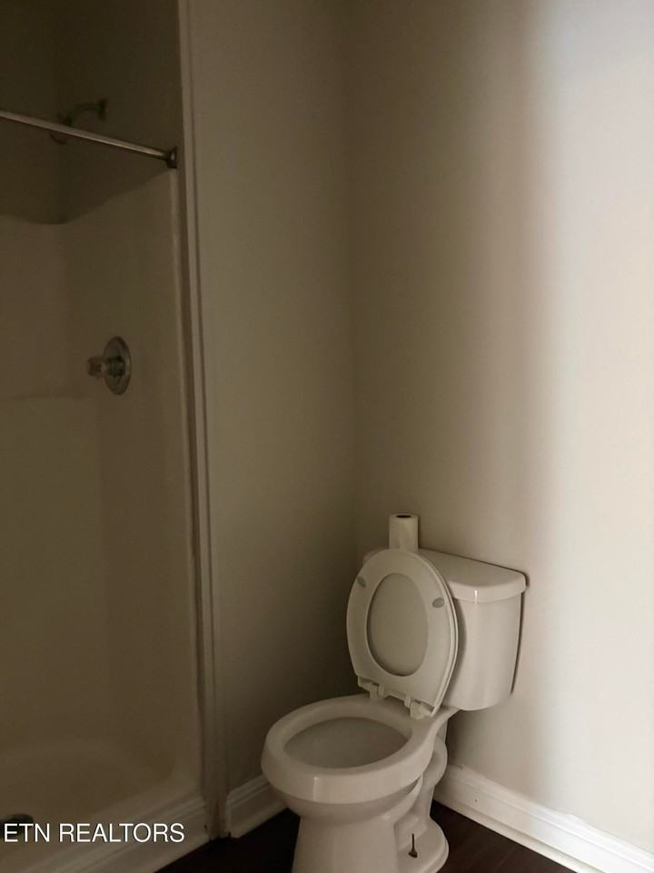 207 E Race St - Photo 6 of 7