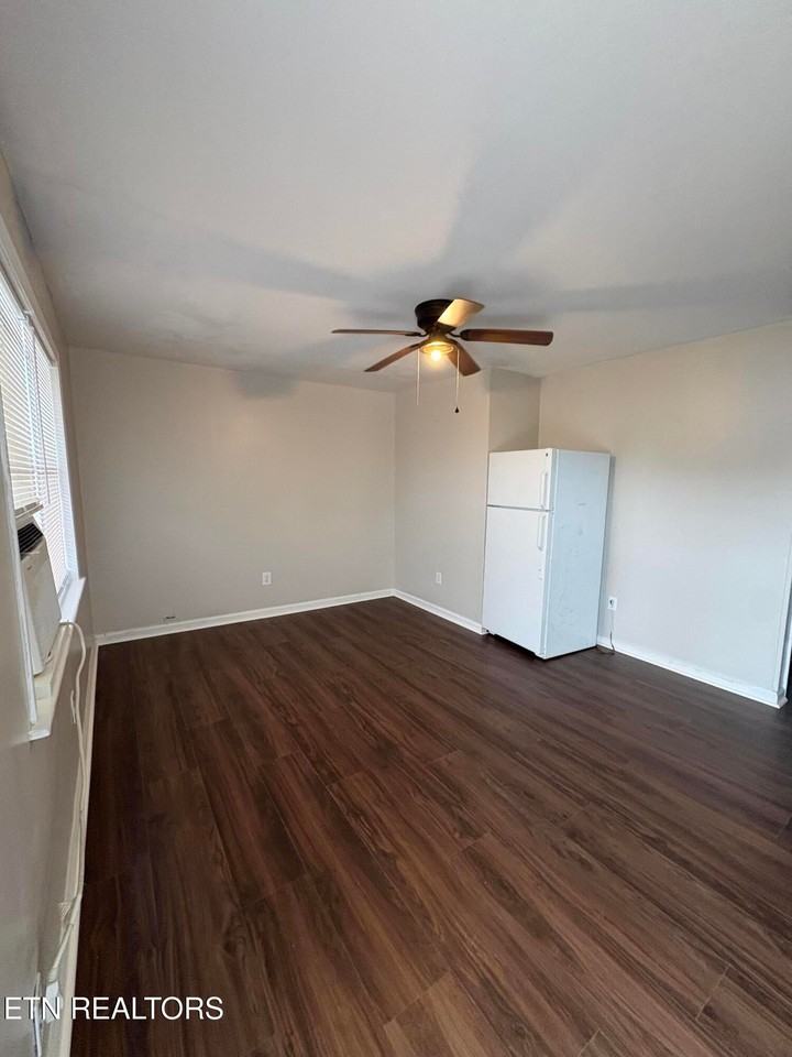 162 E Race St - Photo 5 of 13