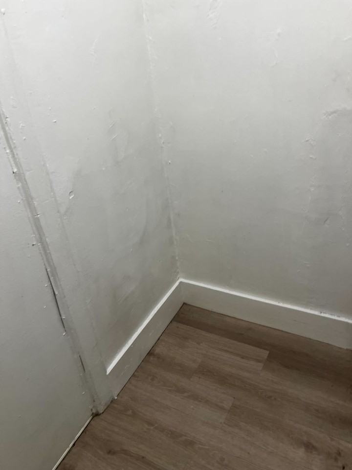 236 Lark St - Photo 6 of 10