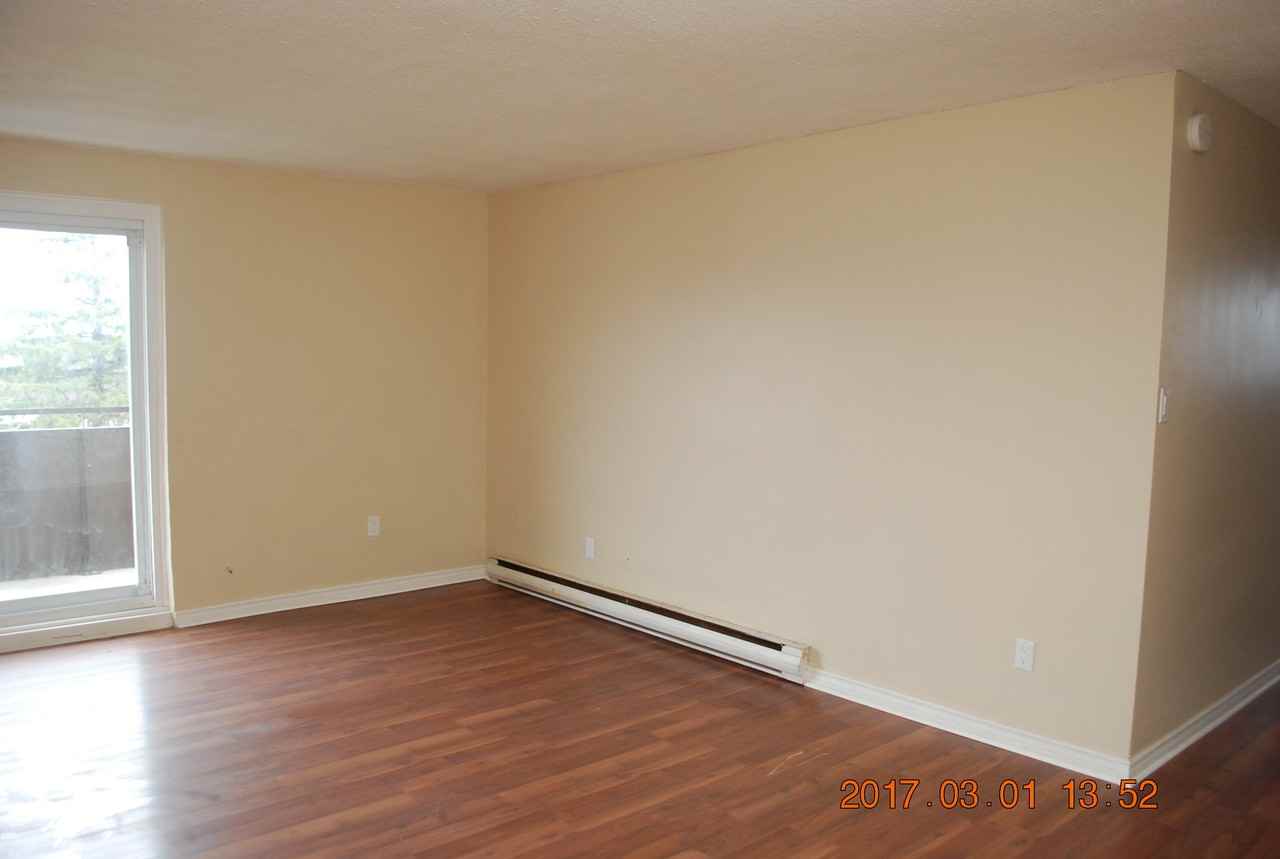 213 Bloor Street West #304 - Photo 5 of 13