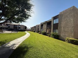 featured image of 81351 Fred Waring Dr #215