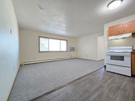 featured image of 1210 3rd Ave Sw