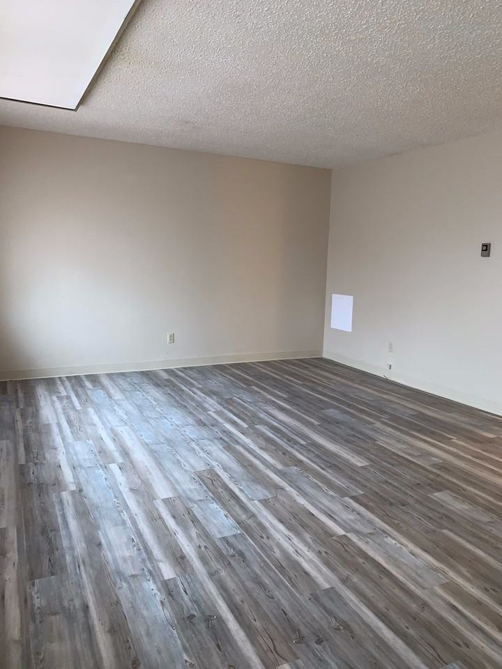 4423 Valverde Ct - Photo 3 of 12