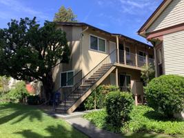 featured image of 495 N Main St