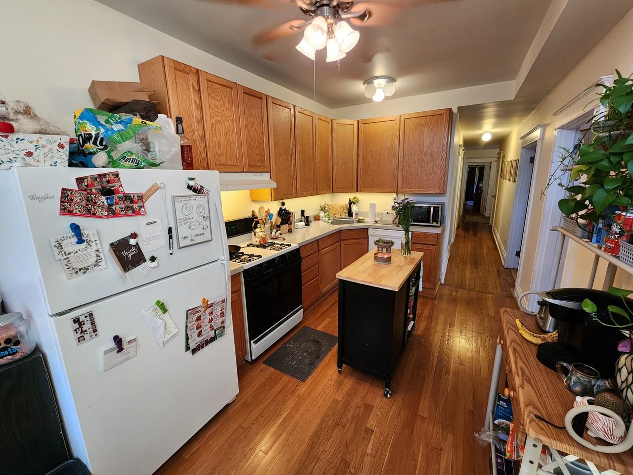 5778 Pershing Ave #3 - Photo 5 of 11