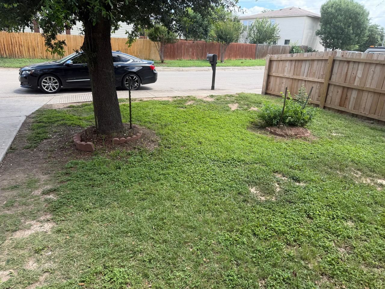 9314 Magnolia Grv - Photo 7 of 30