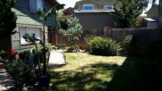 481 Hillview St. - Photo 1 of 1