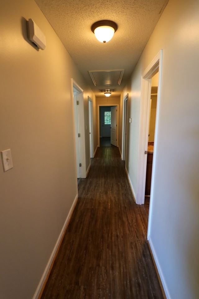 43A Shaley St - Photo 5 of 17