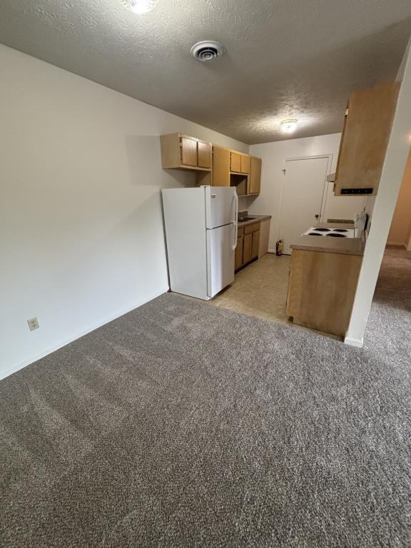 305 Far Side Dr ##Tn - Photo 7 of 22