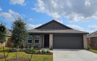 featured image of 3323 Silvery Bryum Dr