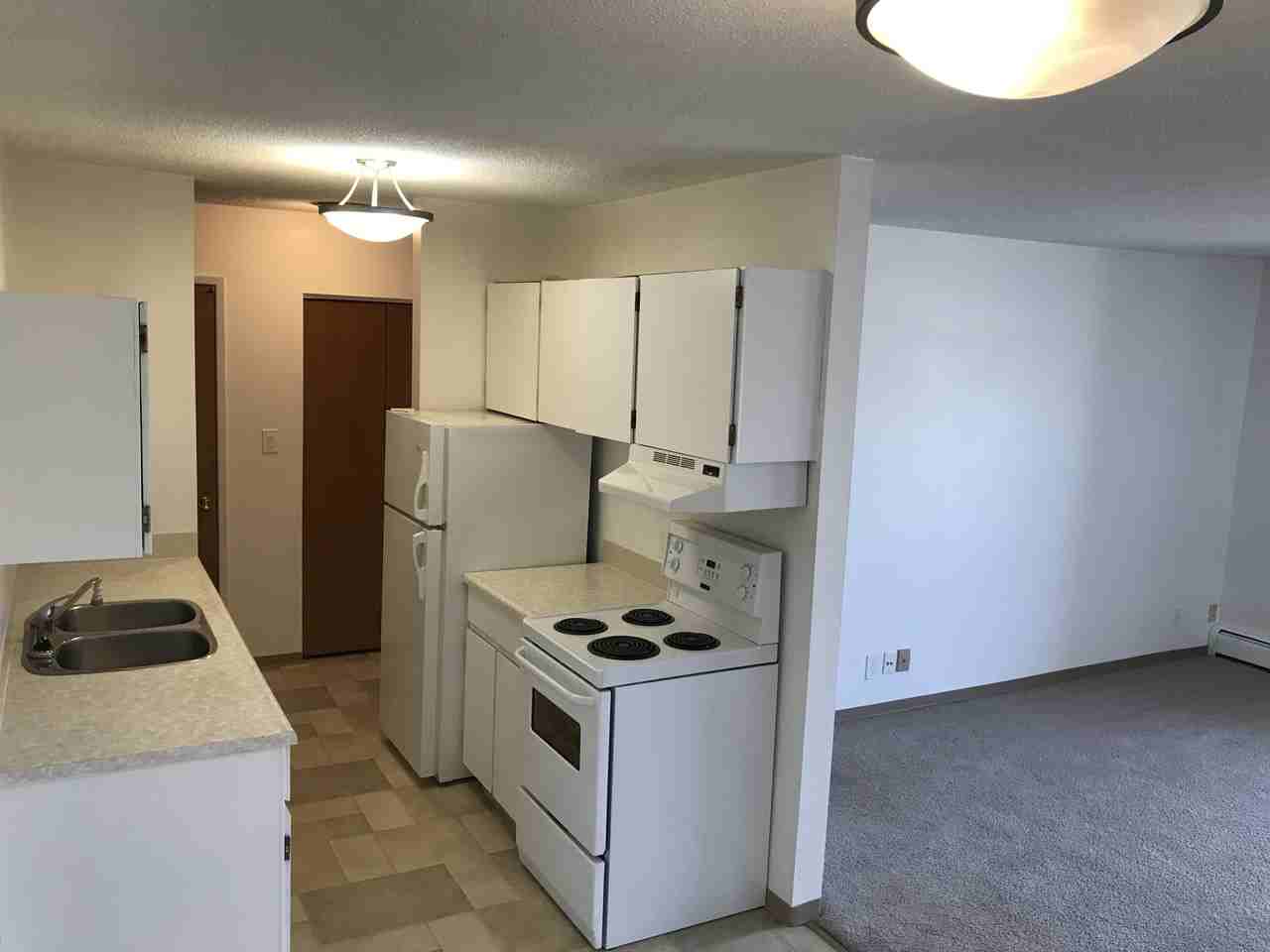 Birchmount Apartment - Photo 3 of 35