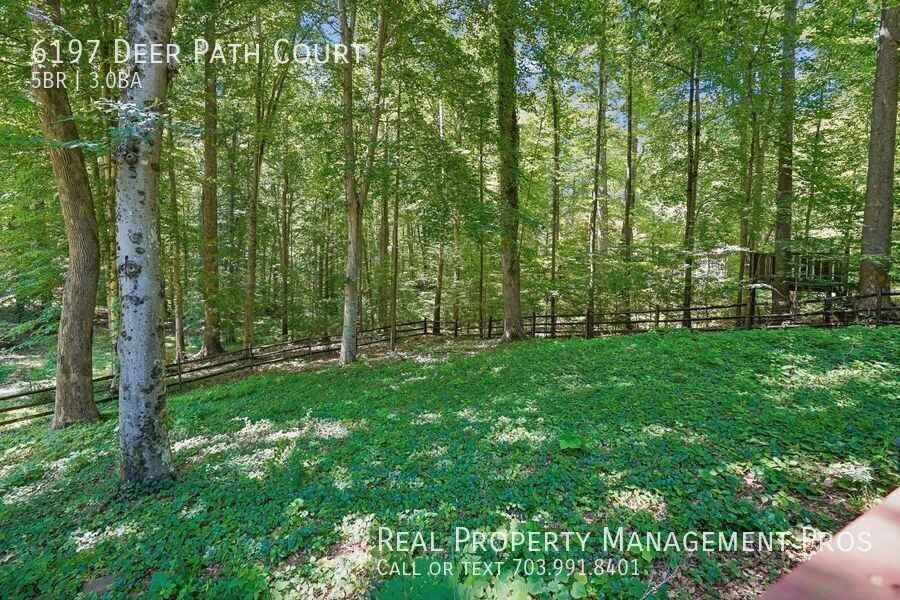 6197 Deer Path Ct - Photo 5 of 45