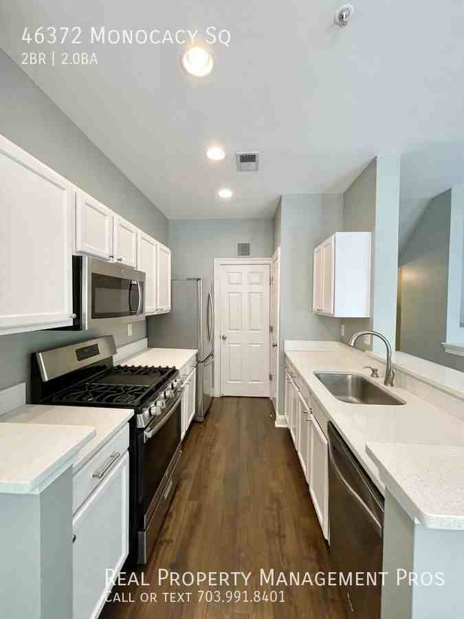 46372 Monocacy Sq - Photo 4 of 29