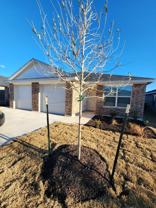 Beautiful Duplex for Rent  3 bedroom/2 bath – 1305 Concord Dr, Copperas Cove, TX - Photo 1 of 1